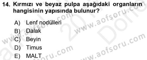 Temel Veteriner Mikrobiyoloji ve İmmünoloji Dersi 2017 - 2018 Yılı (Final) Dönem Sonu Sınav Soruları 14. Soru