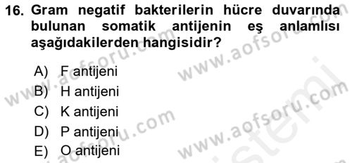 Temel Veteriner Mikrobiyoloji ve İmmünoloji Dersi 2017 - 2018 Yılı (Final) Dönem Sonu Sınav Soruları 16. Soru