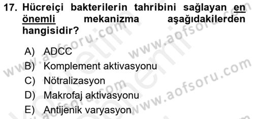 Temel Veteriner Mikrobiyoloji ve İmmünoloji Dersi 2017 - 2018 Yılı (Final) Dönem Sonu Sınav Soruları 17. Soru
