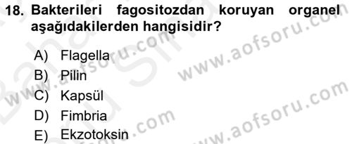 Temel Veteriner Mikrobiyoloji ve İmmünoloji Dersi 2017 - 2018 Yılı (Final) Dönem Sonu Sınav Soruları 18. Soru