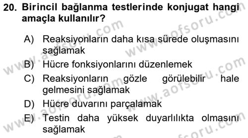 Temel Veteriner Mikrobiyoloji ve İmmünoloji Dersi 2017 - 2018 Yılı (Final) Dönem Sonu Sınav Soruları 20. Soru