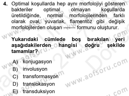 Temel Veteriner Mikrobiyoloji ve İmmünoloji Dersi 2017 - 2018 Yılı (Final) Dönem Sonu Sınav Soruları 4. Soru