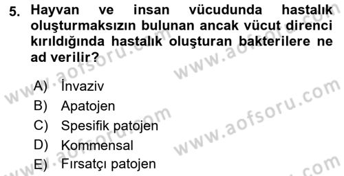 Temel Veteriner Mikrobiyoloji ve İmmünoloji Dersi 2017 - 2018 Yılı (Final) Dönem Sonu Sınav Soruları 5. Soru