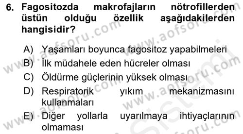 Temel Veteriner Mikrobiyoloji ve İmmünoloji Dersi 2017 - 2018 Yılı (Final) Dönem Sonu Sınav Soruları 6. Soru