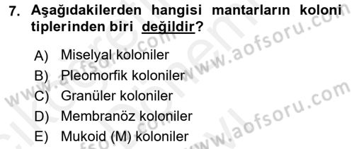 Temel Veteriner Mikrobiyoloji ve İmmünoloji Dersi 2017 - 2018 Yılı (Final) Dönem Sonu Sınav Soruları 7. Soru