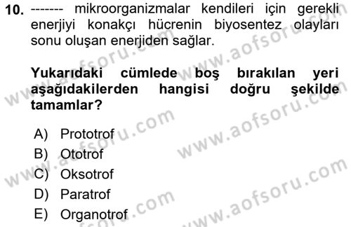 Temel Veteriner Mikrobiyoloji ve İmmünoloji Dersi 2018 - 2019 Yılı 3 Ders Sınav Soruları 10. Soru