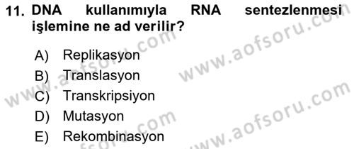 Temel Veteriner Mikrobiyoloji ve İmmünoloji Dersi 2018 - 2019 Yılı 3 Ders Sınav Soruları 11. Soru