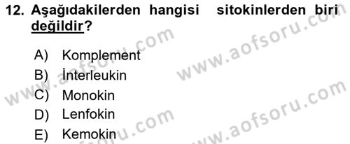 Temel Veteriner Mikrobiyoloji ve İmmünoloji Dersi 2018 - 2019 Yılı 3 Ders Sınav Soruları 12. Soru