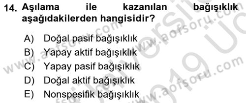 Temel Veteriner Mikrobiyoloji ve İmmünoloji Dersi 2018 - 2019 Yılı 3 Ders Sınav Soruları 14. Soru