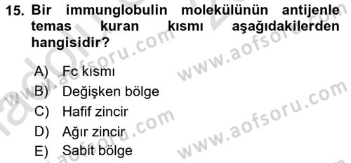 Temel Veteriner Mikrobiyoloji ve İmmünoloji Dersi 2018 - 2019 Yılı 3 Ders Sınav Soruları 15. Soru