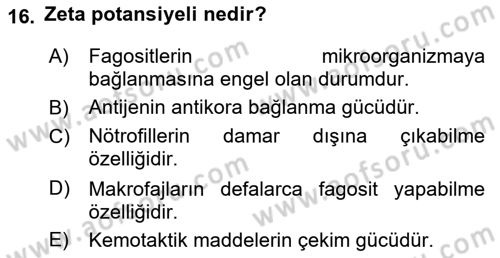 Temel Veteriner Mikrobiyoloji ve İmmünoloji Dersi 2018 - 2019 Yılı 3 Ders Sınav Soruları 16. Soru