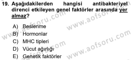 Temel Veteriner Mikrobiyoloji ve İmmünoloji Dersi 2018 - 2019 Yılı 3 Ders Sınav Soruları 19. Soru