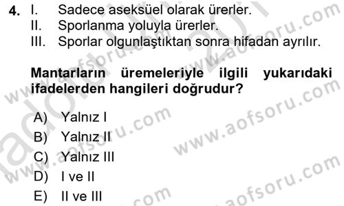 Temel Veteriner Mikrobiyoloji ve İmmünoloji Dersi 2018 - 2019 Yılı 3 Ders Sınav Soruları 4. Soru