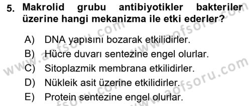 Temel Veteriner Mikrobiyoloji ve İmmünoloji Dersi 2018 - 2019 Yılı 3 Ders Sınav Soruları 5. Soru
