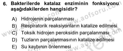 Temel Veteriner Mikrobiyoloji ve İmmünoloji Dersi 2018 - 2019 Yılı 3 Ders Sınav Soruları 6. Soru