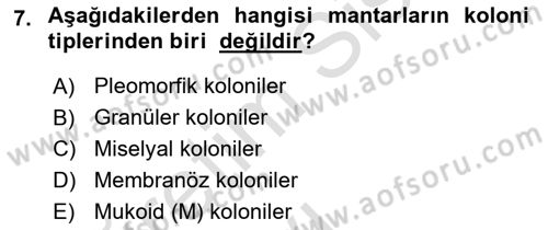Temel Veteriner Mikrobiyoloji ve İmmünoloji Dersi 2018 - 2019 Yılı 3 Ders Sınav Soruları 7. Soru
