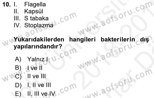 Temel Veteriner Mikrobiyoloji ve İmmünoloji Dersi 2018 - 2019 Yılı (Vize) Ara Sınav Soruları 10. Soru