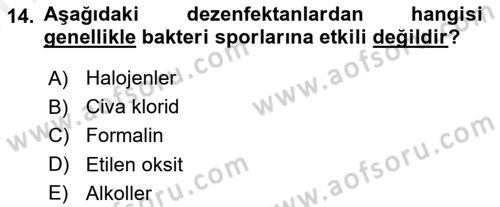 Temel Veteriner Mikrobiyoloji ve İmmünoloji Dersi 2018 - 2019 Yılı (Vize) Ara Sınav Soruları 14. Soru