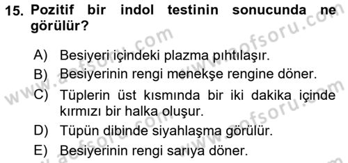 Temel Veteriner Mikrobiyoloji ve İmmünoloji Dersi 2018 - 2019 Yılı (Vize) Ara Sınav Soruları 15. Soru