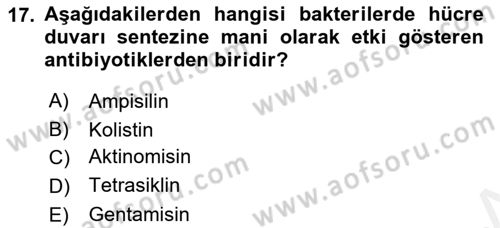 Temel Veteriner Mikrobiyoloji ve İmmünoloji Dersi 2018 - 2019 Yılı (Vize) Ara Sınav Soruları 17. Soru