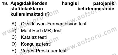 Temel Veteriner Mikrobiyoloji ve İmmünoloji Dersi 2018 - 2019 Yılı (Vize) Ara Sınav Soruları 19. Soru