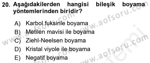 Temel Veteriner Mikrobiyoloji ve İmmünoloji Dersi 2018 - 2019 Yılı (Vize) Ara Sınav Soruları 20. Soru
