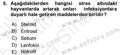 Temel Veteriner Mikrobiyoloji ve İmmünoloji Dersi 2018 - 2019 Yılı (Vize) Ara Sınav Soruları 5. Soru