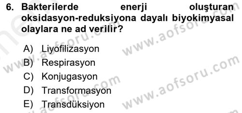 Temel Veteriner Mikrobiyoloji ve İmmünoloji Dersi 2018 - 2019 Yılı (Vize) Ara Sınav Soruları 6. Soru
