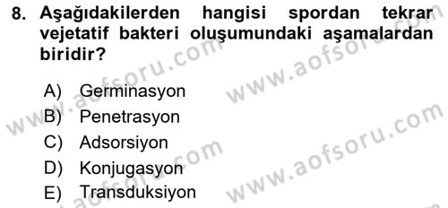 Temel Veteriner Mikrobiyoloji ve İmmünoloji Dersi 2018 - 2019 Yılı (Vize) Ara Sınav Soruları 8. Soru