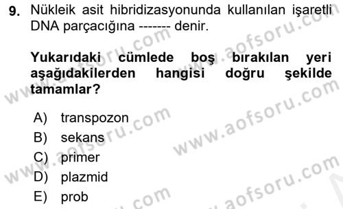 Temel Veteriner Mikrobiyoloji ve İmmünoloji Dersi 2018 - 2019 Yılı (Vize) Ara Sınav Soruları 9. Soru