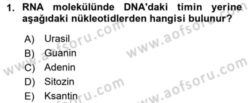 Temel Veteriner Mikrobiyoloji ve İmmünoloji Dersi 2018 - 2019 Yılı (Final) Dönem Sonu Sınav Soruları 1. Soru