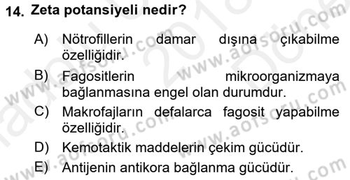 Temel Veteriner Mikrobiyoloji ve İmmünoloji Dersi 2018 - 2019 Yılı (Final) Dönem Sonu Sınav Soruları 14. Soru