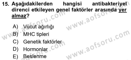Temel Veteriner Mikrobiyoloji ve İmmünoloji Dersi 2018 - 2019 Yılı (Final) Dönem Sonu Sınav Soruları 15. Soru