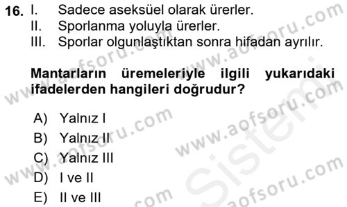 Temel Veteriner Mikrobiyoloji ve İmmünoloji Dersi 2018 - 2019 Yılı (Final) Dönem Sonu Sınav Soruları 16. Soru