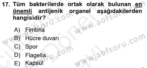 Temel Veteriner Mikrobiyoloji ve İmmünoloji Dersi 2018 - 2019 Yılı (Final) Dönem Sonu Sınavı 17. Soru