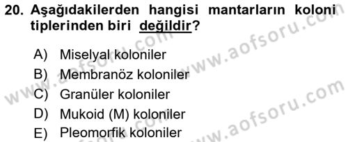 Temel Veteriner Mikrobiyoloji ve İmmünoloji Dersi 2018 - 2019 Yılı (Final) Dönem Sonu Sınav Soruları 20. Soru