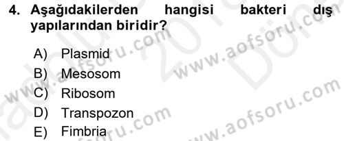 Temel Veteriner Mikrobiyoloji ve İmmünoloji Dersi 2018 - 2019 Yılı (Final) Dönem Sonu Sınav Soruları 4. Soru