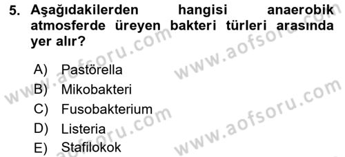 Temel Veteriner Mikrobiyoloji ve İmmünoloji Dersi 2018 - 2019 Yılı (Final) Dönem Sonu Sınav Soruları 5. Soru