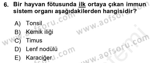 Temel Veteriner Mikrobiyoloji ve İmmünoloji Dersi 2018 - 2019 Yılı (Final) Dönem Sonu Sınav Soruları 6. Soru