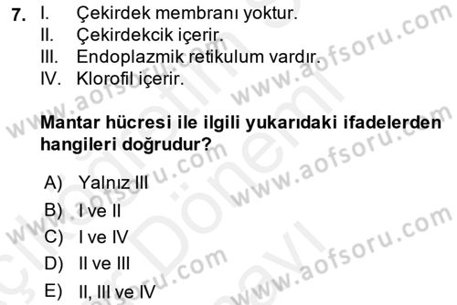 Temel Veteriner Mikrobiyoloji ve İmmünoloji Dersi 2018 - 2019 Yılı (Final) Dönem Sonu Sınav Soruları 7. Soru