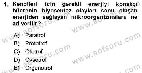 Temel Veteriner Mikrobiyoloji ve İmmünoloji Dersi 2018 - 2019 Yılı Yaz Okulu Sınav Soruları 1. Soru