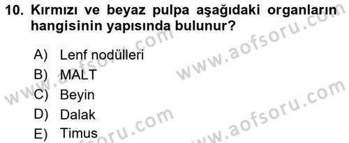 Temel Veteriner Mikrobiyoloji ve İmmünoloji Dersi 2018 - 2019 Yılı Yaz Okulu Sınav Soruları 10. Soru