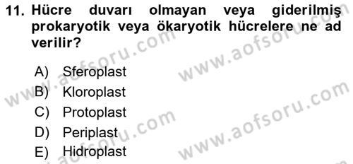 Temel Veteriner Mikrobiyoloji ve İmmünoloji Dersi 2018 - 2019 Yılı Yaz Okulu Sınav Soruları 11. Soru