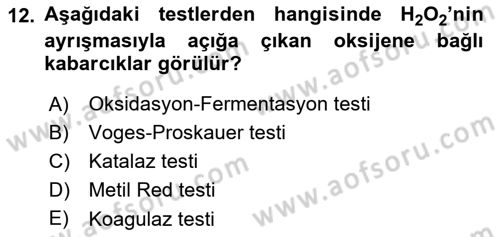 Temel Veteriner Mikrobiyoloji ve İmmünoloji Dersi 2018 - 2019 Yılı Yaz Okulu Sınav Soruları 12. Soru