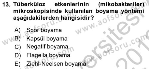 Temel Veteriner Mikrobiyoloji ve İmmünoloji Dersi 2018 - 2019 Yılı Yaz Okulu Sınav Soruları 13. Soru