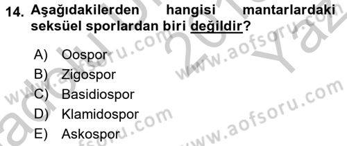 Temel Veteriner Mikrobiyoloji ve İmmünoloji Dersi 2018 - 2019 Yılı Yaz Okulu Sınav Soruları 14. Soru
