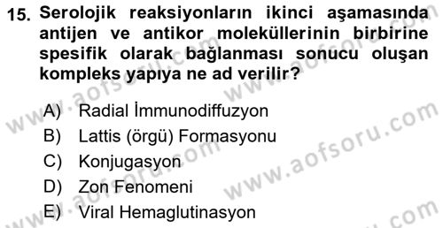 Temel Veteriner Mikrobiyoloji ve İmmünoloji Dersi 2018 - 2019 Yılı Yaz Okulu Sınavı 15. Soru