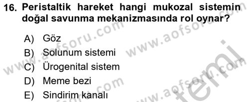Temel Veteriner Mikrobiyoloji ve İmmünoloji Dersi 2018 - 2019 Yılı Yaz Okulu Sınav Soruları 16. Soru