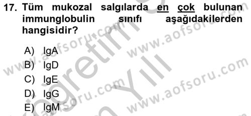 Temel Veteriner Mikrobiyoloji ve İmmünoloji Dersi 2018 - 2019 Yılı Yaz Okulu Sınav Soruları 17. Soru