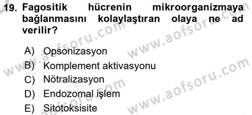 Temel Veteriner Mikrobiyoloji ve İmmünoloji Dersi 2018 - 2019 Yılı Yaz Okulu Sınav Soruları 19. Soru